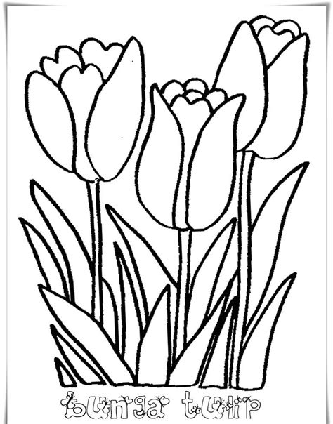 Cara Menggambar Sketsa Gambar Bunga Yang Mudah Digambar Dan Berwarna Vs