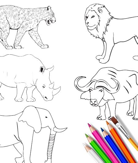 Printables Big 5 Colouring Excercise Hp Official Site