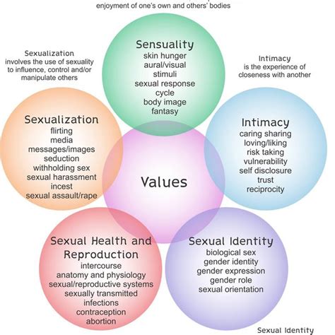 Circles Of Sexuality Image Provided By The Unitarian Universalist