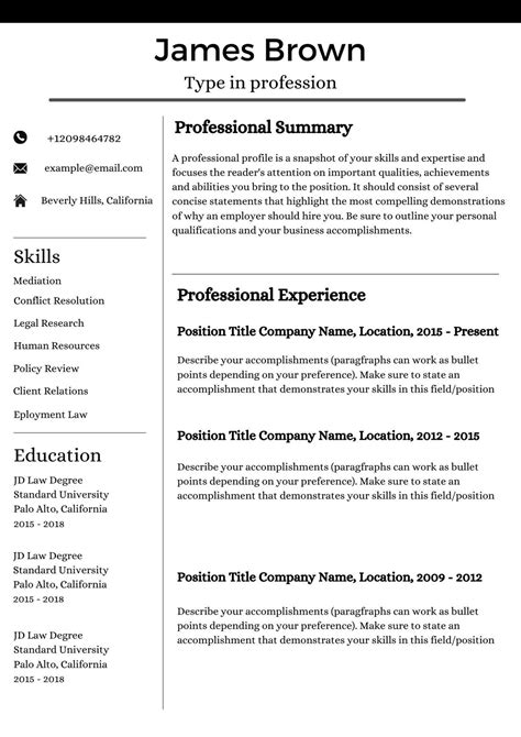 English Resume For Job Applications Etsy