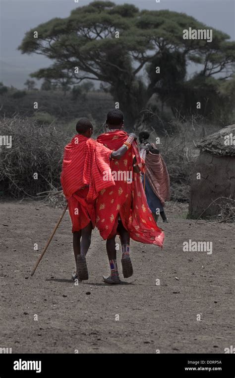 Masai African Maasai Kenya Amboseli Nilote Africa Stock Photo Alamy