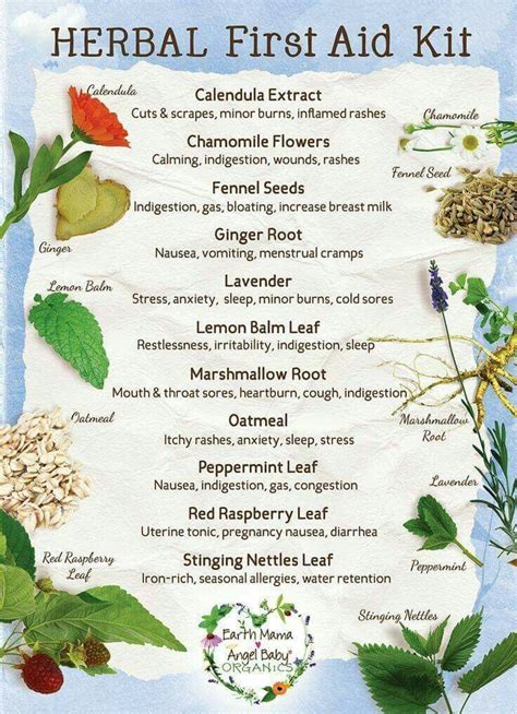 Herbal First Aid Kit Natural Healing Remedies Natural Cures Herbal