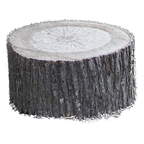 Stock PNG Tree Stump by Earthymoon on DeviantArt png image