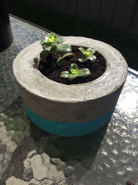 DIY cement planter! such and easy creative idea! I loved making this