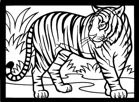 Search through 623,989 free printable colorings at getcolorings. Free Printable Tiger Coloring Pages For Kids