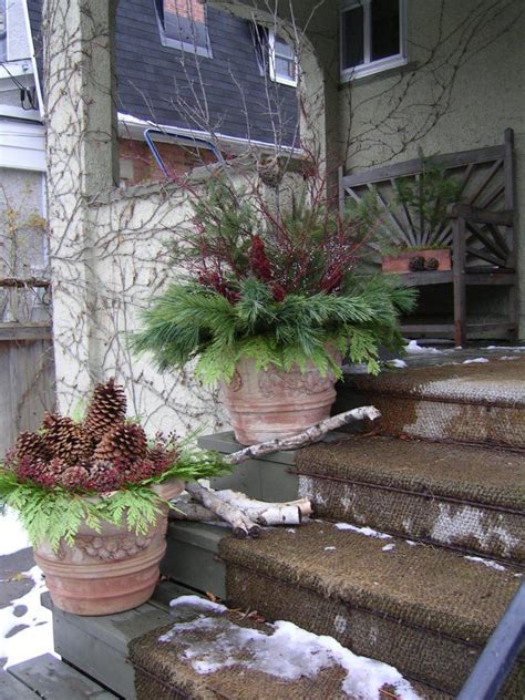 Winter Pots Unique Gardens Christmas Decorations Projects