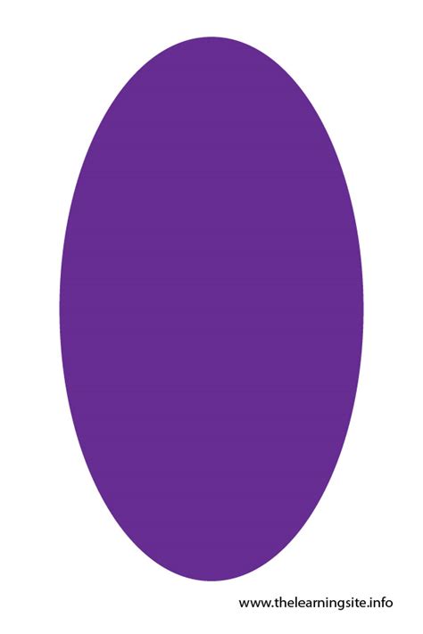Purple Oval Flashcard The Learning Site