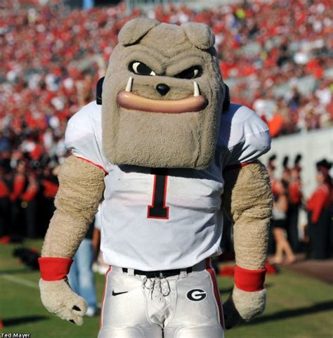 Florida V Georgia Georgia Bulldogs Georgia Mascot