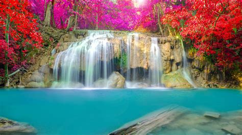 Image For Beautiful Waterfalls With Flowers Wallpaper For