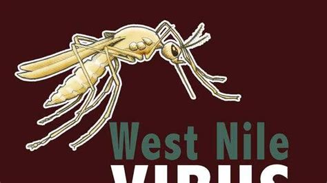 Human Cases Of West Nile Virus In Iowa Is Down