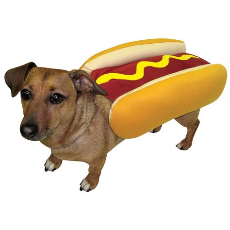Rasta Imposta Hot Dog With Mustard Dog Costum Baxterboo