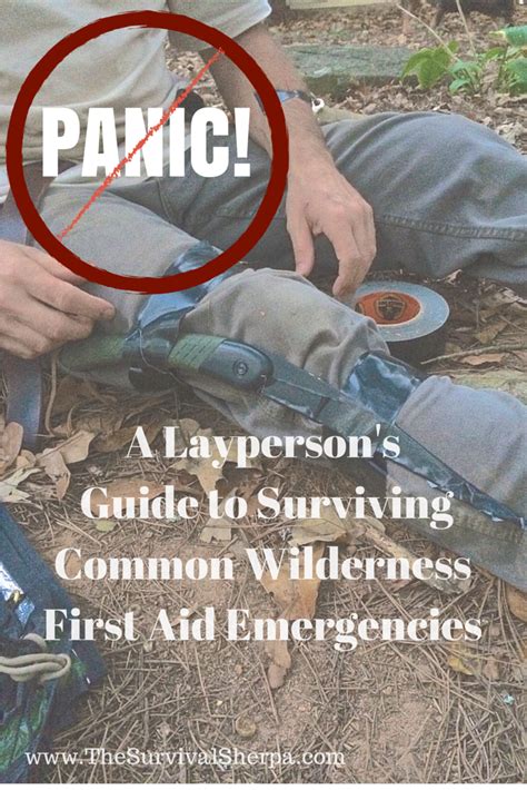 Dont Panic A Laypersons Guide To Surviving Common Wilderness First