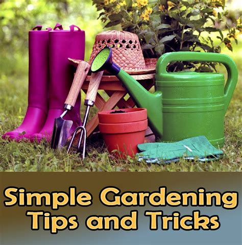 Quiet Cornersimple Gardening Tips And Tricks Quiet Corner