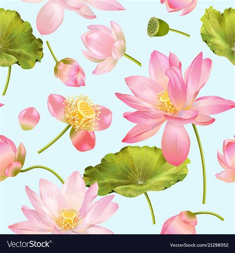 Lotus Flower Pattern Royalty Free Vector Image