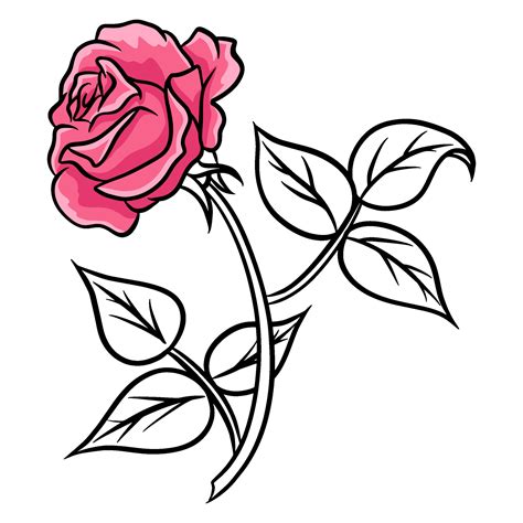 Hand Drawn Roses Beautiful Flower Cartoon Style Vector Illustration