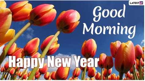 Happy New Year Good Morning Images 2023 For Download Wishes Shayaris