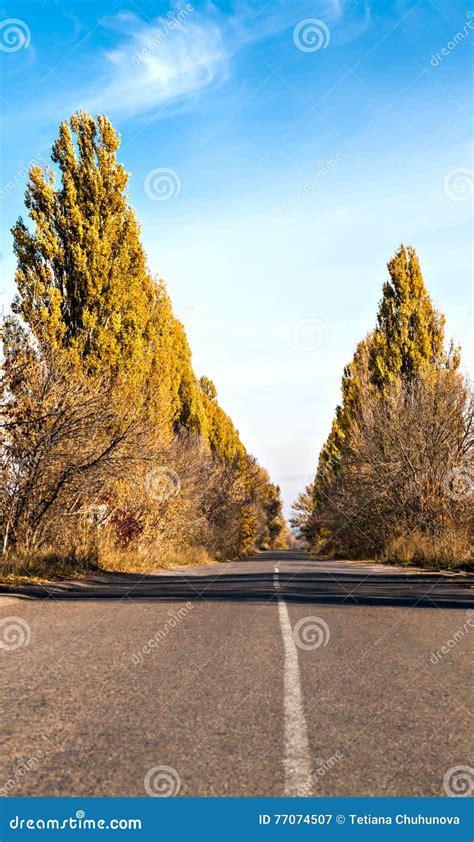 Asphalt Road Between Autumn Trees Against The Sky Vertical Stock Image