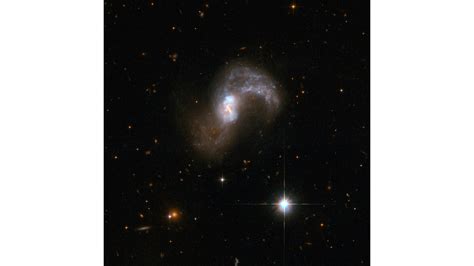 Hubble Interacting Galaxy Ngc 7674 Hubblesite