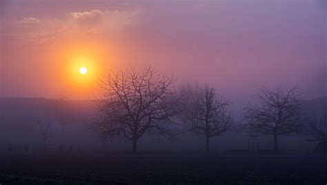 Fogy Sunrise Wallpapers Wallpaper Cave