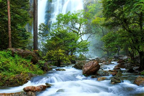 Green Forest With Waterfall And Stream