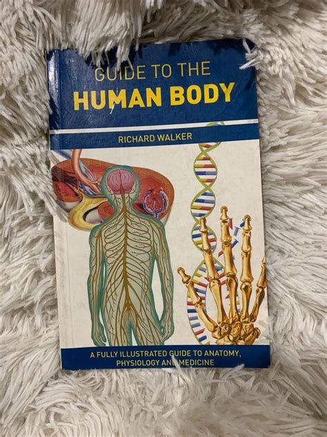 Guide To Human Anatomy Hobbies And Toys Books And Magazines Textbooks On