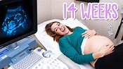 14 Week Pregnancy Ultrasound - Baby Moving and Yawning! - YouTube