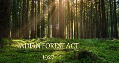 Forest Act Amendment Do We Really Need It The Earthview