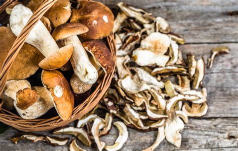 Faire sécher les cèpes Recette de Faire sécher les cèpes
