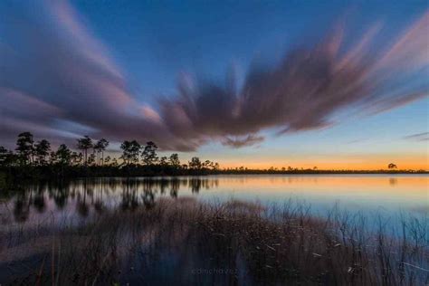 Everglades Photography Workshp And Tour