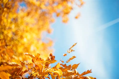 Autumn 4k Wallpapers For Your Desktop Or Mobile Screen Free And Easy To