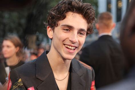 Timothée Chalamet Steve Carell And More On The Heartbreaking Beautiful