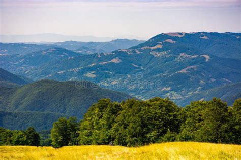 Forested Hills Of Carpathian Mountains Stock Image Image Of Outdoor