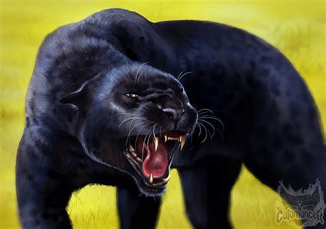 Catamancer Black Panther By Tamberella On Deviantart