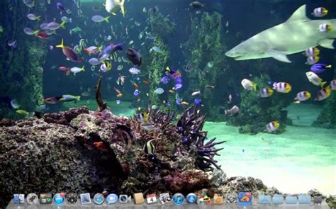 Fondos de pantalla animados para celular en hd wallpapers. Aquarium Live Wallpaper for PC - WallpaperSafari