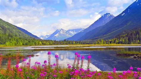 Spring Alaska Wallpapers Top Free Spring Alaska Backgrounds