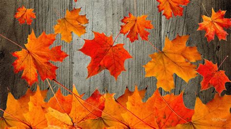 Autumn Wallpaper For Desktop 61 Pictures