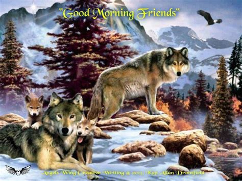 Good Morning Friends Wolf Images Wolf Photos Wolf Pictures
