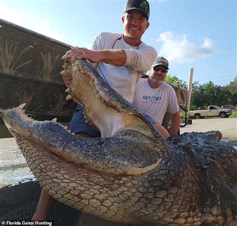Like A Dinosaur Terrified Florida Gator Hunter Describes Catching Huge