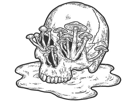 Premium Vector Human Skull With Growing Mushrooms Sketch Scratch