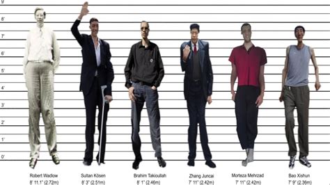 Tallest Man Ever By Country Youtube Hot Sex Picture