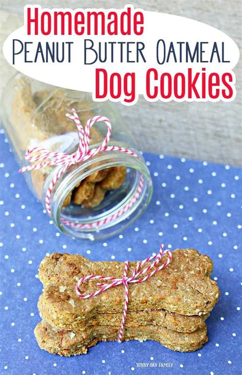 Easy Homemade Peanut Butter Oatmeal Dog Cookies Dog Biscuit Recipes