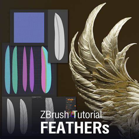 Zbrush Tutorial Feather By Toto Dost Model Tips 3d Modelle Modell