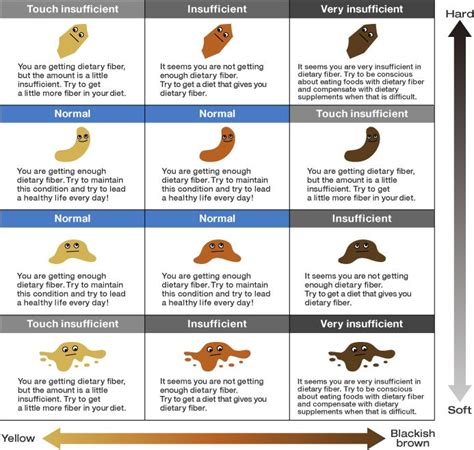 Dog Poo Chart What The Colour Is Telling You Petbarn Dog Stool Color