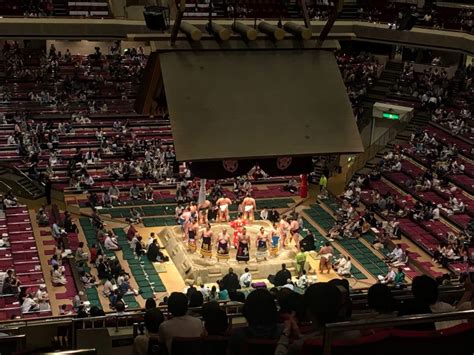 How To Watch Sumo Wrestling In Tokyo Japan Erikas Travelventures