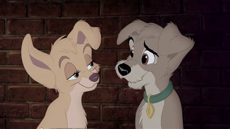 How Old Do Toi Think Scamp And Angel From Lady And The Tramp 2 Scamps