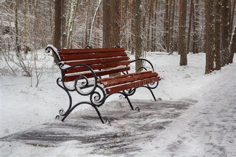 Bench In The Park Is Covered In Snow Stock Image Image Of Empty