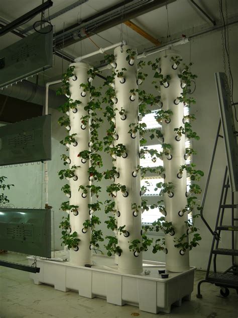 Aeroponic System Lighting Aeroponics Aquaponics Hydroponic