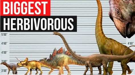 Biggest Herbivorous Dinosaurs Size Comparison YouTube