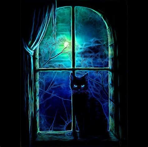 Mystical Cat Black Cat Art Halloween Art Cat Art
