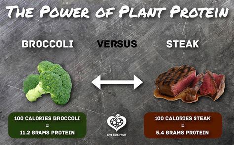 Now foods, sports, pea protein, pure unflavored, 2 lbs (907 g). Plant Protein: Your Guide To 24 Protein-Packed Plant Foods ...